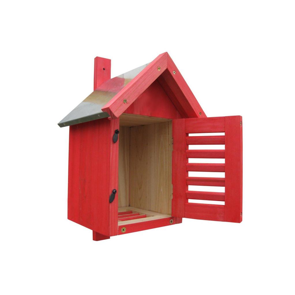 Florfliegen auch Blattlauslöwen genannt