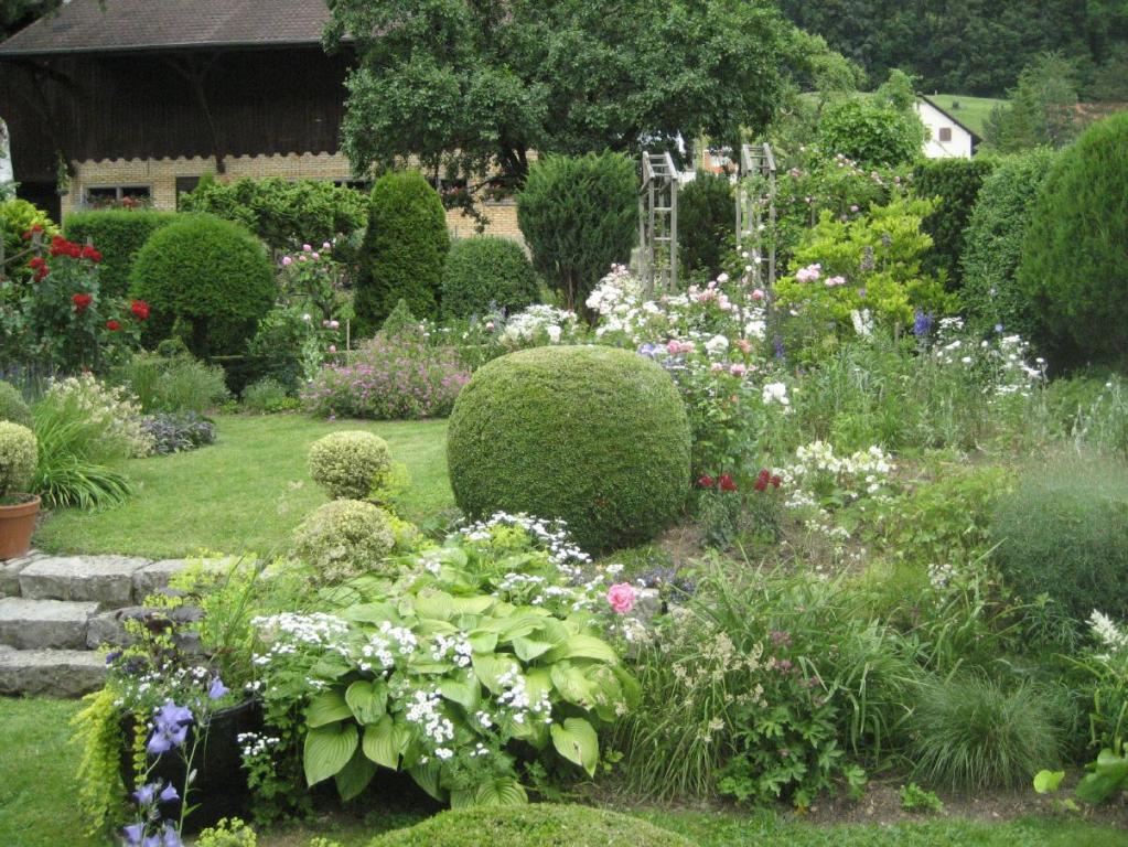 Gartengestaltung mit Buchs in das ganze Jaher 