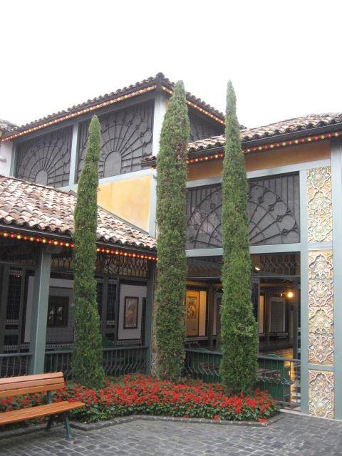 Cupressus sempervirens 'Stricta' Zypresse